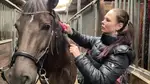 Sasha, 22 years old, horse riding expert!